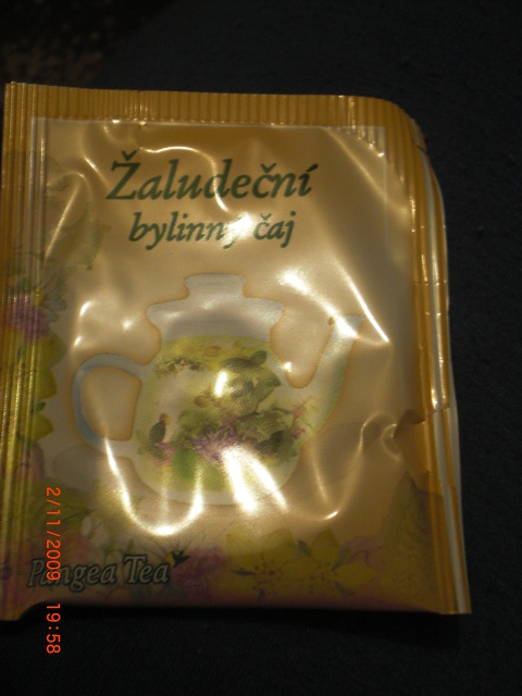 žaludeční.JPG