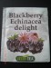 blackberry echinacea delight.JPG